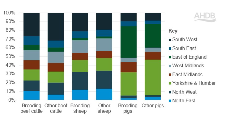 Regional distribution of breeding and non-breeding animals across England in 2023